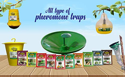 Chipku- Bactocera Dorsalis Fruit Fly Outdoor ECOMAX Pheromne Trap with Lure Pack of 50
