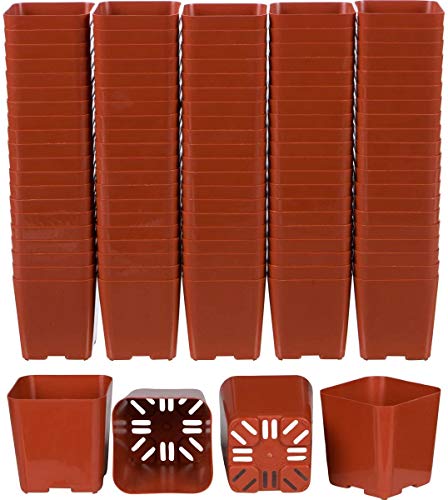 MosQuick 3 inches Plastic Nursery Seed Seedling Germinating Pots Cup Set Plant Pot, Set of 25 Pcs (Terracotta)