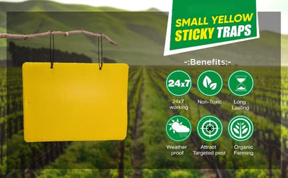 buy sticky traps