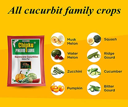 Chipku ECO Trap/IPM Trap/Glass Trap/Melon Fly Trap- Useful for Melon cucurbitae Bottle Guard All Vegetable -2 Pieces
