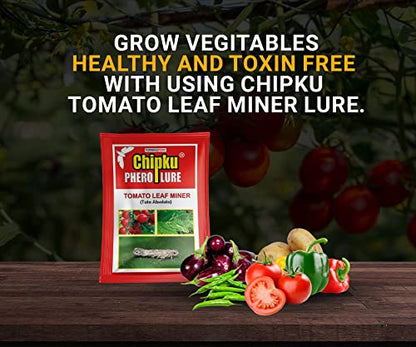Chipku-Pheromone Lure for Tomato Leaf Minor (Tuta Absoluta) Pack of 25