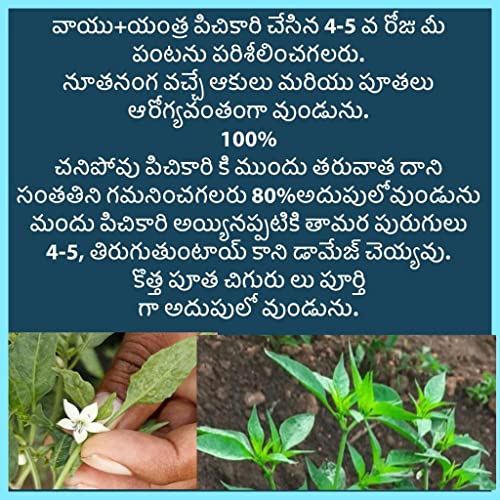 वाईके लैबोरेटरीज पेस्ट स्पेशल वायु यंत्र सुरक्षित और पर्यावरण के अनुकूल इनडोर/आउटडोर पेस्ट और कीट नियंत्रण - 1L + 1L