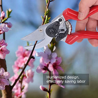 Pruning Shears, Pointed Branch Scissor for Agriculture'$