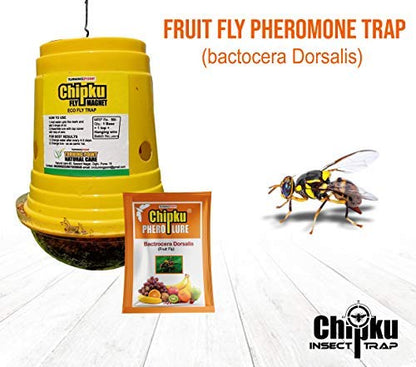 Chipku Bactocera Dorsalis Fruit Fly Outdoor Eco Pheromone Trap with Lure Useful in Mango, Papaya, Sapota, Guava, Pomegranate, Sweet Fruit - Pack of 50 Yellow