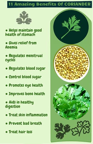 EYWA - Dhaniya Seeds For Home Gardening In This Winter, Coriander Seed whole For Farming And Sowing, Organic to Grow in Your Home & Kitchen Garden on This Season (1 Kg)