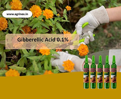 AGRINEX CORPORATION Gibberellic Power (0.1%)/ Vegetable special/Banana-tomato special/Plant growth booster/Plant hormone/Plant growth hormone (GIBBERELLIC POWER).,10mlX5 ampule (50ml) Pack Of 2