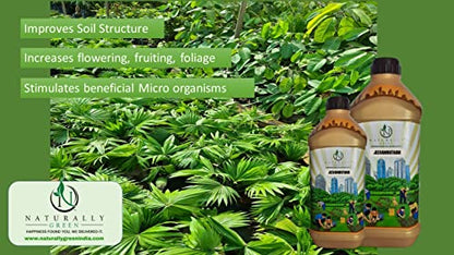 Naturally Green Jeewamrutham Organic Plant Growth and Immunity Booster Natural Plant Nutrients for Gardens 2 LTR
