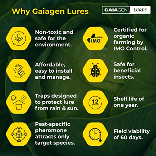 GAIAGEN डायमंडबैक मोथ कॉम्बो पैक - डायमंडबैक मोथ (प्लूटेला जाइलोस्टेला) और कीट जल जाल के लिए फेरोमोन लूर 1.6L | शामिल है - 10 लालच और 10 जाल