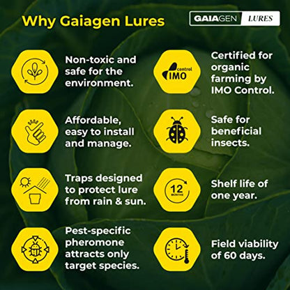 GAIAGEN डायमंडबैक मोथ कॉम्बो पैक - डायमंडबैक मोथ (प्लूटेला जाइलोस्टेला) और कीट जल जाल के लिए फेरोमोन लूर 1.6L | शामिल है - 10 लालच और 10 जाल