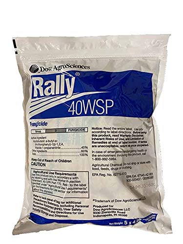 INDEX 10% wp (White, 100GMS)