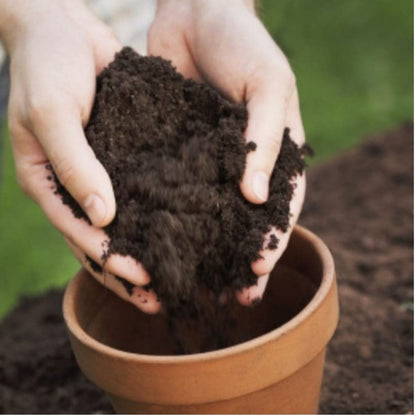 Plant Cow Dung fertilizers for Plants, Cow Dung Manure for Plants, Cow Manure for Plants, Cow Manure for Home Gardening, Cow Dung Compost for Plants (50 kg)