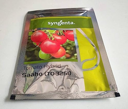 Green World Combo of Plant Growth Booster & Saaho (TO-3251) Hybrid Tomato seeds, 3500 seeds packing