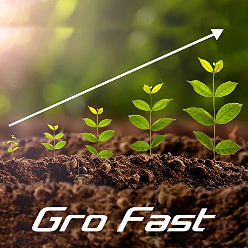 rhizosphere engineering