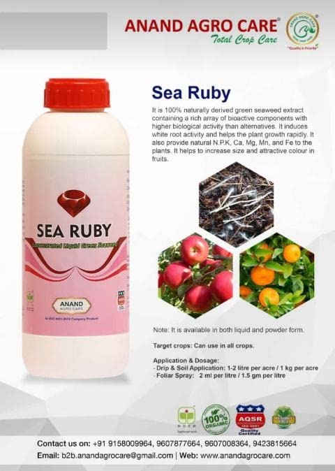 Sea Ruby (Powder) - 100% Water Soluble Naturally Derived Green Seaweed Extract