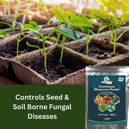 THE WET TREE Pseudomonas Fluorescens Powder | Bio Fungicide for Seeds & Home Garden Plants | Against Root Rot, Stem Rot, Wilt & Fungal Dieases (250 GM)