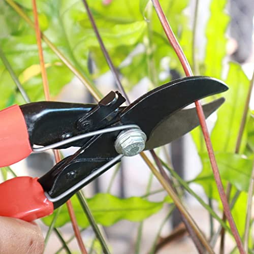 Trustbasket Premium Garden tool Double cut garden secateurs | Pruning Shears, Pruner Less Effort Garden Clipper with Sharp Blade and Comfortable Handle