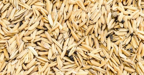 बागवानी के लिए एसडीएफ इंडिया चावल की भूसी 1 किलो