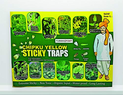 Chipku Yellow Sticky Trap/Insect Trap/Glue Trap/for Whiteflies Thrips,for Garden & Farm(Pack of 25x2 nos - 50Traps)