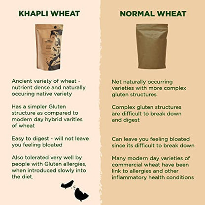 Two Brothers Organic Farms - Khapli Wheat Flour (2 kg) | High Dietary Fiber for Easy Digestion | Stoneground Emmer Atta
