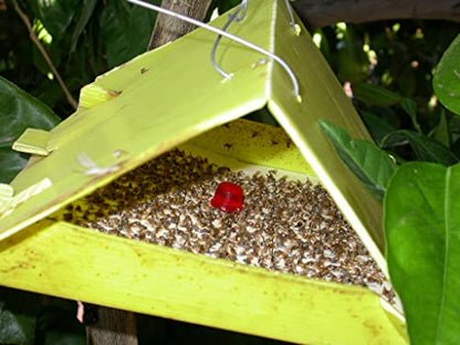 Delta Sticky Insect pheromone Trap Used for brinjal Shoot Borer & Tomato Leaf Miner (50)