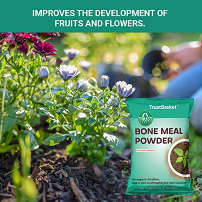 TrustBasket Organic Bone Meal for Plants Home Gardening | Steamed Bone Meal | Rich in Phosphorus and Calcium | Natural Plant Fertilizer| - 450 Grams (Set of 2)