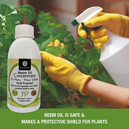 neem oil concentrate