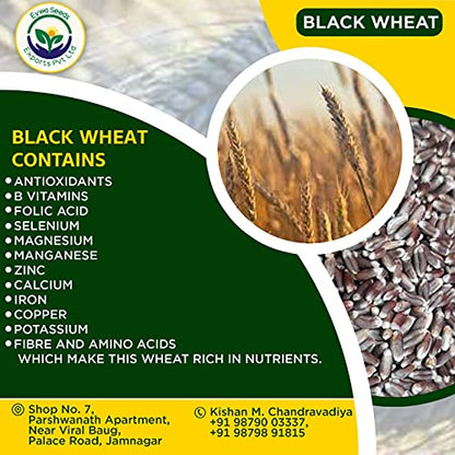 BLACK WHEAT GRAINS (15 KG) for eating and cooking | kale gehu daane | Produce of India from Organic Farms | BY EYWA