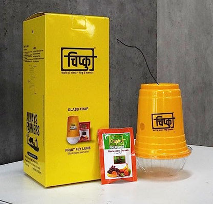 चिपकू फ्रूट फ्लाई ग्लास ट्रैप फेरमोन ट्रैप बैक्टोसेरा डोर्सालिस के लिए/फेरोमोन ल्यूर कॉम्बो पैक के साथ बगीचों और फलों की फसलों के लिए कीट ट्रैप 5 का