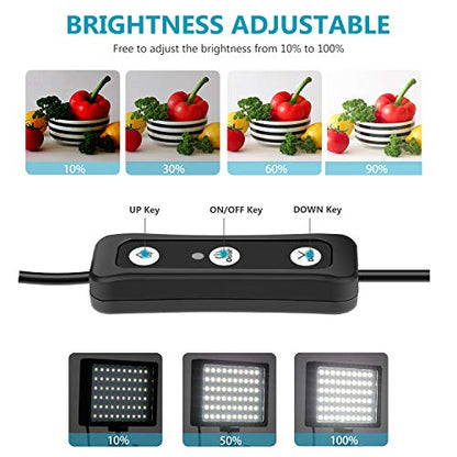 Neewer 2 Packs Dimmable 5600K USB LED Video Light with Adjustable Tripod Stand/Color Filters for Tabletop/Low Angle Shooting, Colorful LED Lighting, Product Portrait YouTube Video Photography