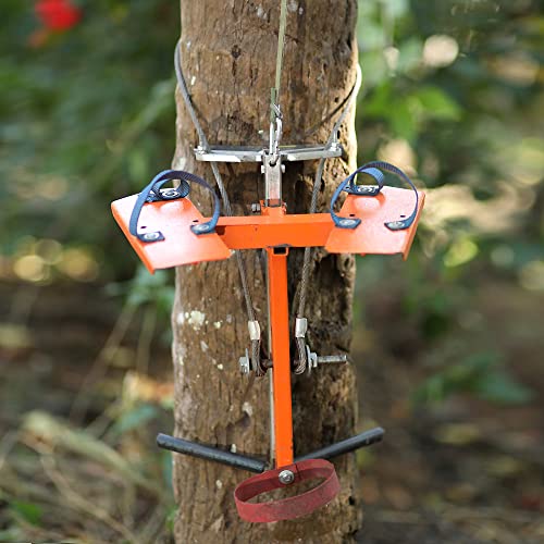 New Advanced Coconut Tree Climber