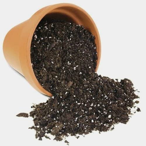 SDF INDIA Mix Potting Soil for Plants-30KG Soil Less All Purpose Ready to use Potting Mix Made with vermicompost/Neem Cake/Potash/River Sand/Bone Meal (30 KG)