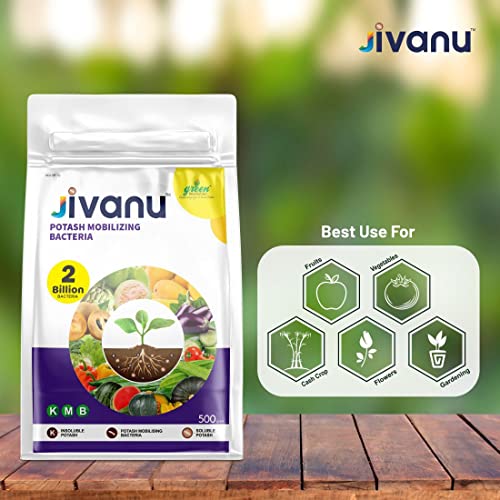Jivanu (Potassium Solubilizing and Mobilizing Bacteria – KSB/KMB) Bio-Fertilizers (500 Gram)