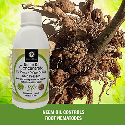 neem oil to control root nematodes