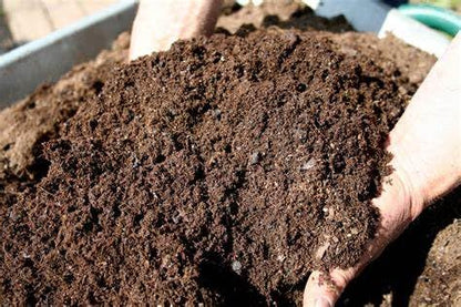 Evergrow Cow Dung Compost Fertilizer Manure for Plants Organic Fertilizer Natural Fresh Plant Garden Cow Compost (Pack of 1 KG)