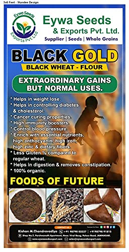 BLACK WHEAT GRAINS (15 KG) for eating and cooking | kale gehu daane | Produce of India from Organic Farms | BY EYWA