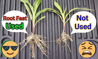 huminoz 98 for root growth