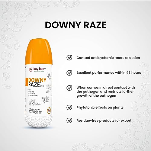 downy mildew organic treatment