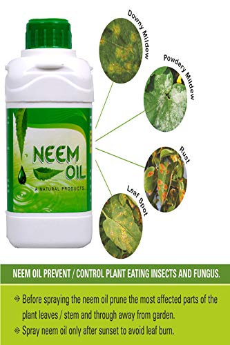 neem oil for kitchen garden