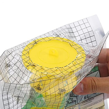 disposable fly catcher