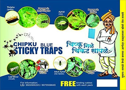 Chipku इन्सेक्ट किलर ब्लू स्टिकी ट्रैप नॉन टॉक्सिक और केमिकल फ्री फ्लाई ट्रैप/इन्सेक्ट कैचर/कीड़ों, सफेद मक्खियों, एफिड्स, लीफ माइनर, थ्रिप्स के लिए स्टिकी पैड - (25 पीस का पैक)