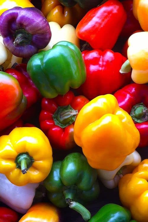 Radha Krishna Agriculture® Imported Capsicum Vegetable Seeds | Mix Capsicum Seed For Your Home Garden Pack of 50 Gram Seeds
