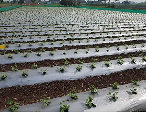 mulching paper