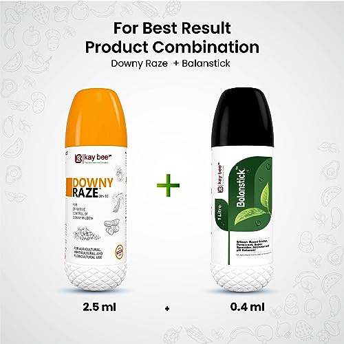 treatment of downy mildew