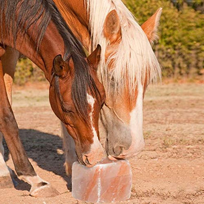 Milliard 6 lb Himalayan Animal Salt Lick for Horses, Deer, and Livestock with Rope