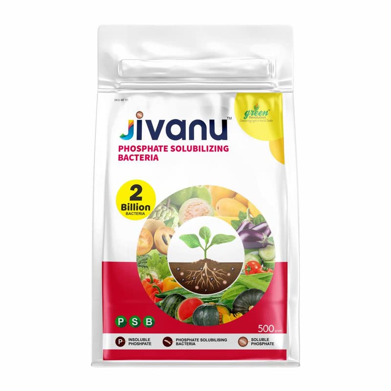 Jivanu PSB (Phosphate Solubilizing Bacteria – PSB) Bio Fertilizers For Agriculture, Garden, Soil Fertility, and Plant Nutrition. Pack of 1 (500 Grams).