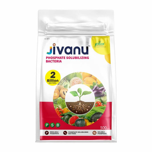 Jivanu PSB (Phosphate Solubilizing Bacteria – PSB) Bio Fertilizers For Agriculture, Garden, Soil Fertility, and Plant Nutrition. Pack of 1 (500 Grams).