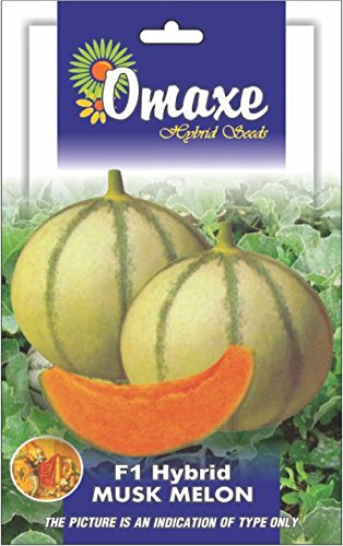 musk melon seeds online