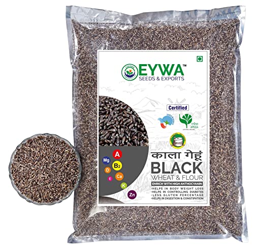 BLACK WHEAT GRAINS (15 KG) for eating and cooking | kale gehu daane | Produce of India from Organic Farms | BY EYWA