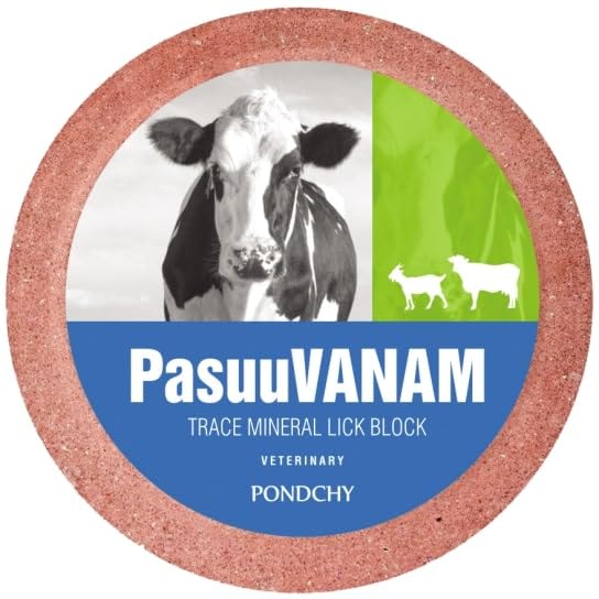 PASUUVANAM Trace Mineral Lick Block (5 KG)