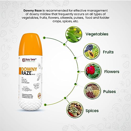 systemic fungicide for downy mildew